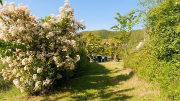 Área da propriedade