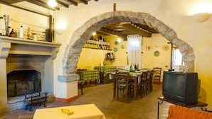 Un comedor rústico con un arco de piedra, una chimenea y un televisor.