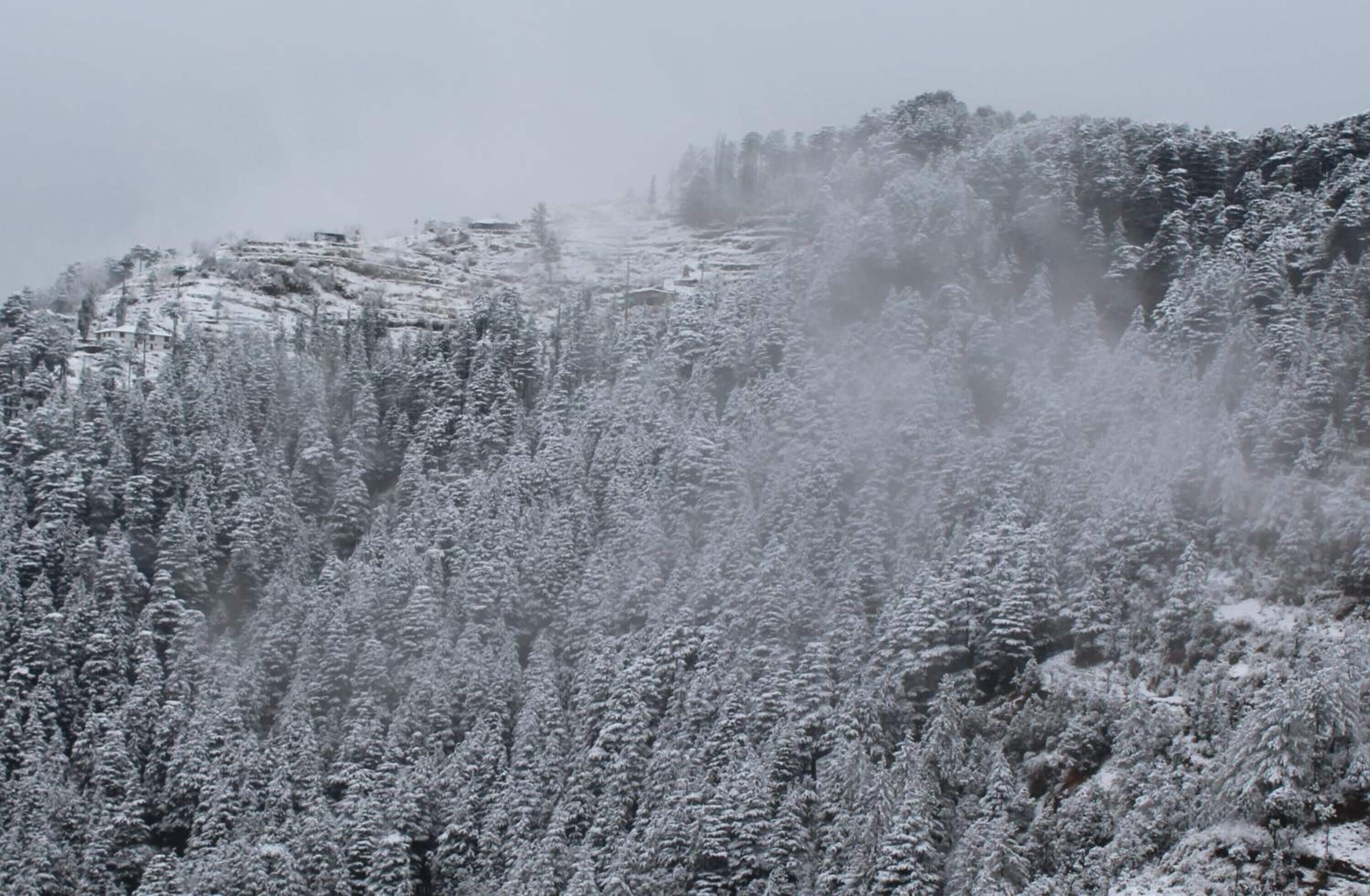 Un paisaje montañoso nevado con una densa cubierta forestal.