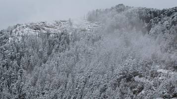 Un paisaje montañoso nevado con una densa cubierta forestal.