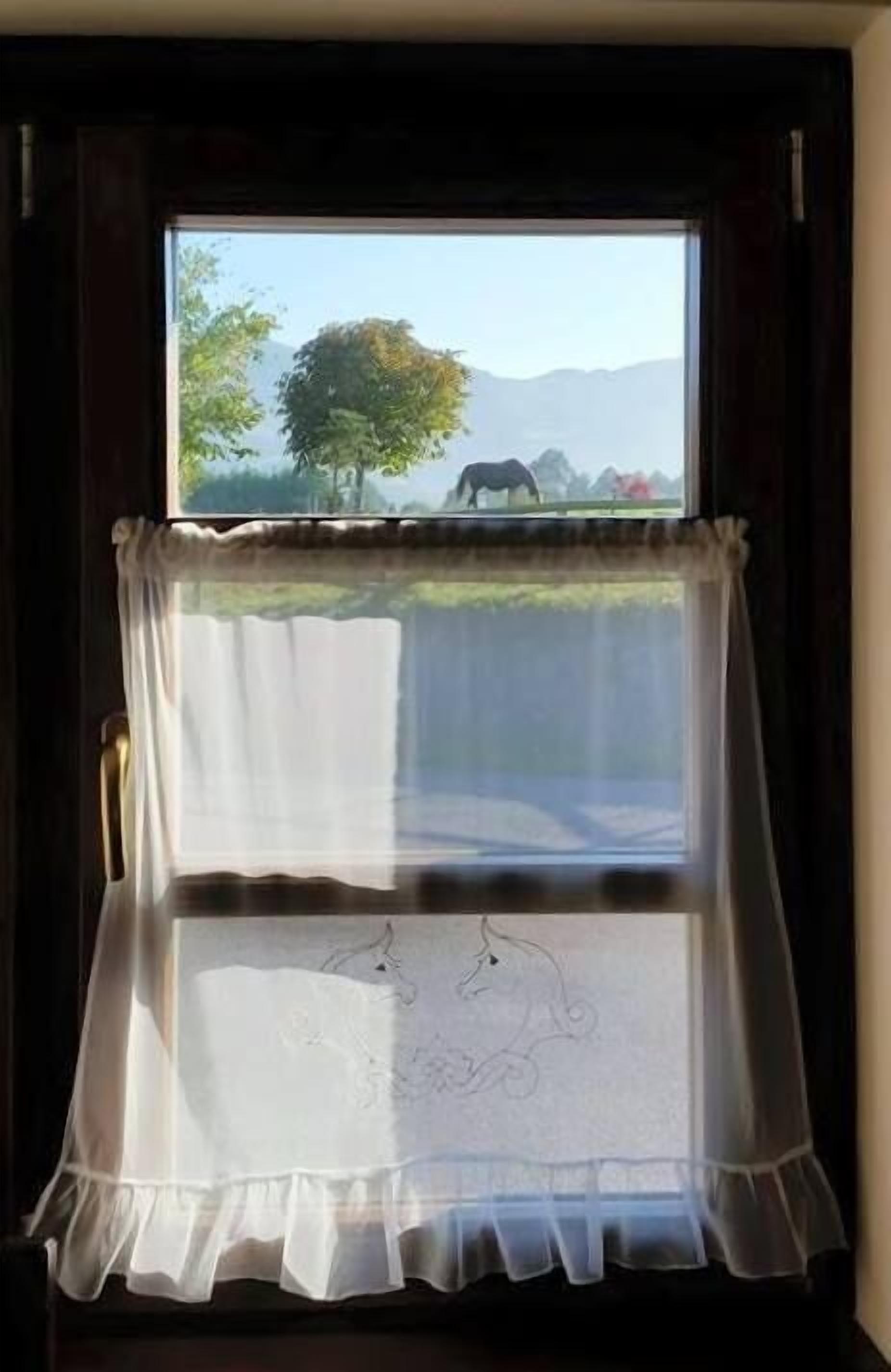 Photo - Hotel Rural Yeguada Albeitar