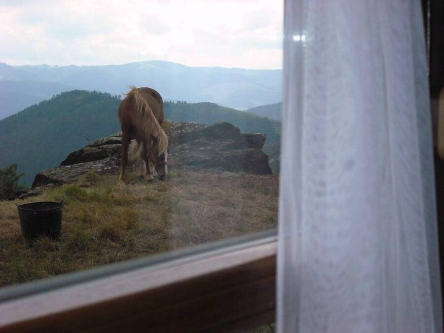 Un caballo pastando sobre una cresta montañosa, con vistas a colinas distantes.