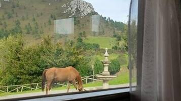 إطلالة الغرفة