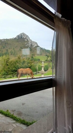 Double Room, 1 Double or 2 Single Beds, Mountain View (Max. 4 people) | View from room