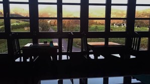A room with a large window overlooking a rural landscape with cows.