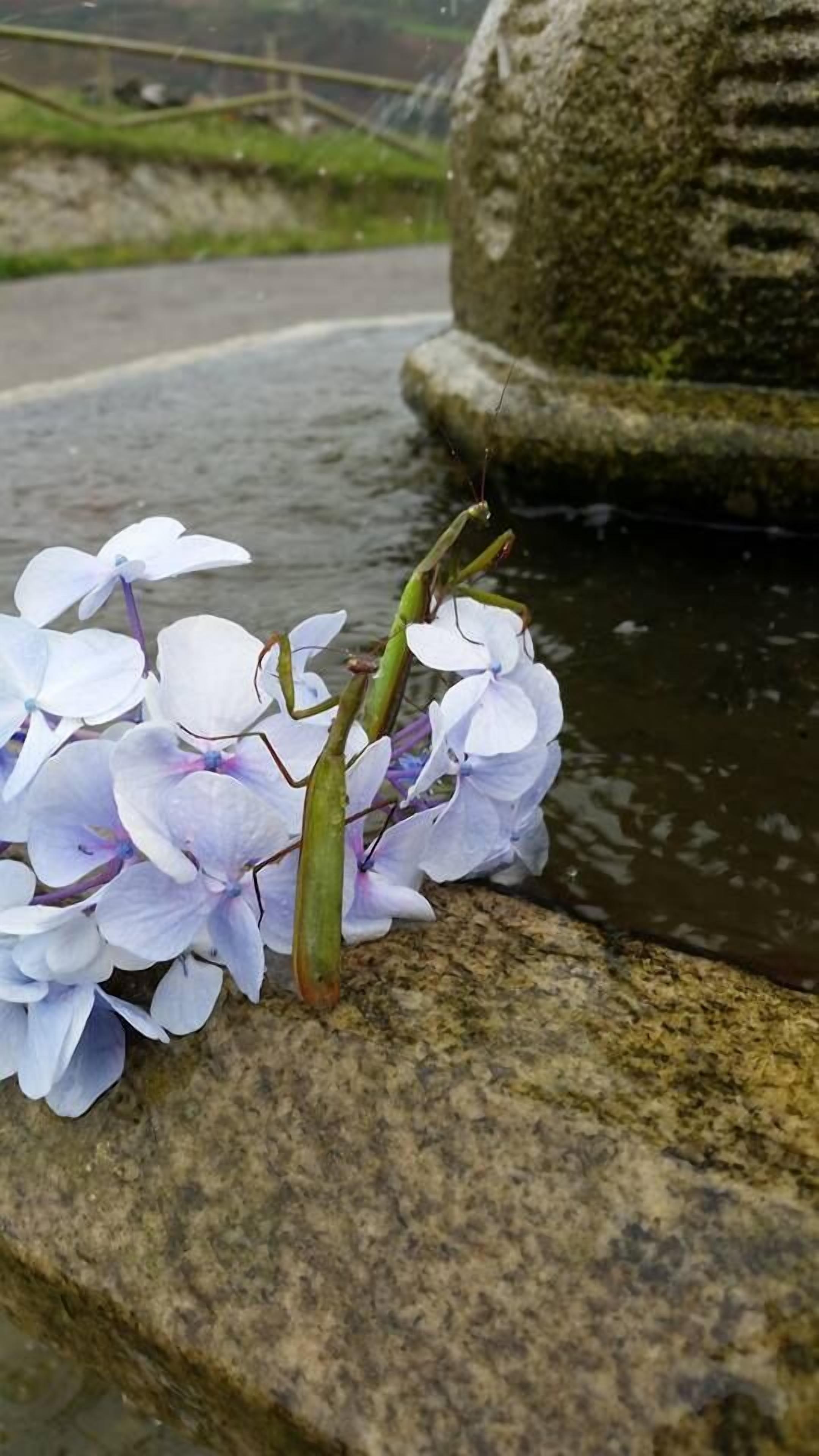 Photo - Hotel Rural Yeguada Albeitar