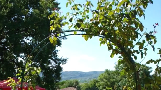 Una piscina con vistas al paisaje circundante, que incluye árboles y una cadena montañosa distante.