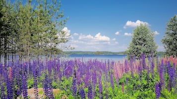 Family Villa, 2 Bedrooms, Sauna, Lakeside | View from room