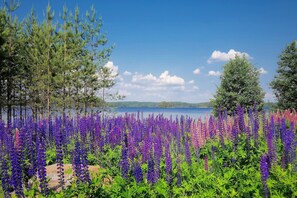 Family Villa, 2 Bedrooms, Sauna, Lakeside | View from room