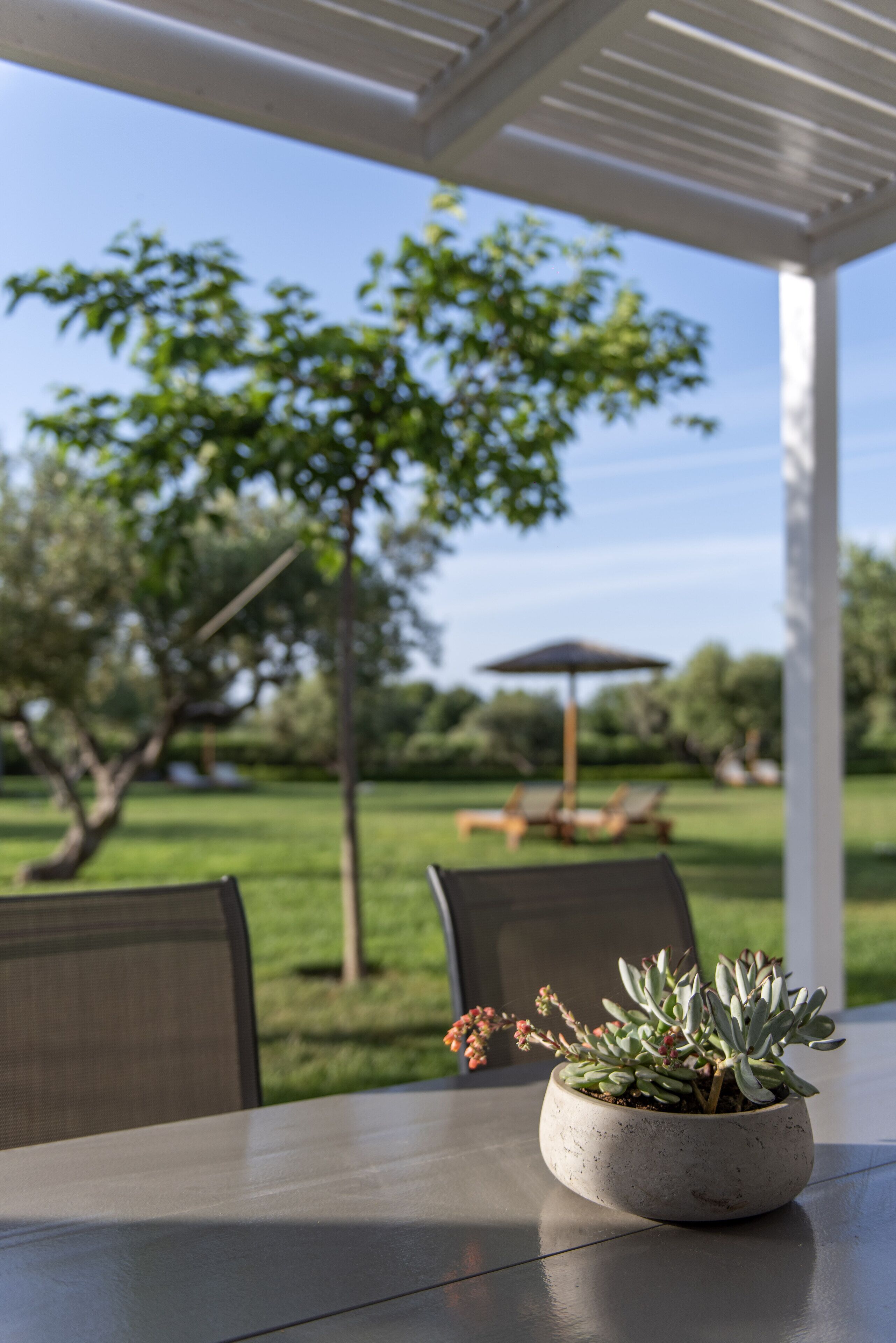 Un espace patio aménagé avec une table, des chaises et un pot de fleurs.