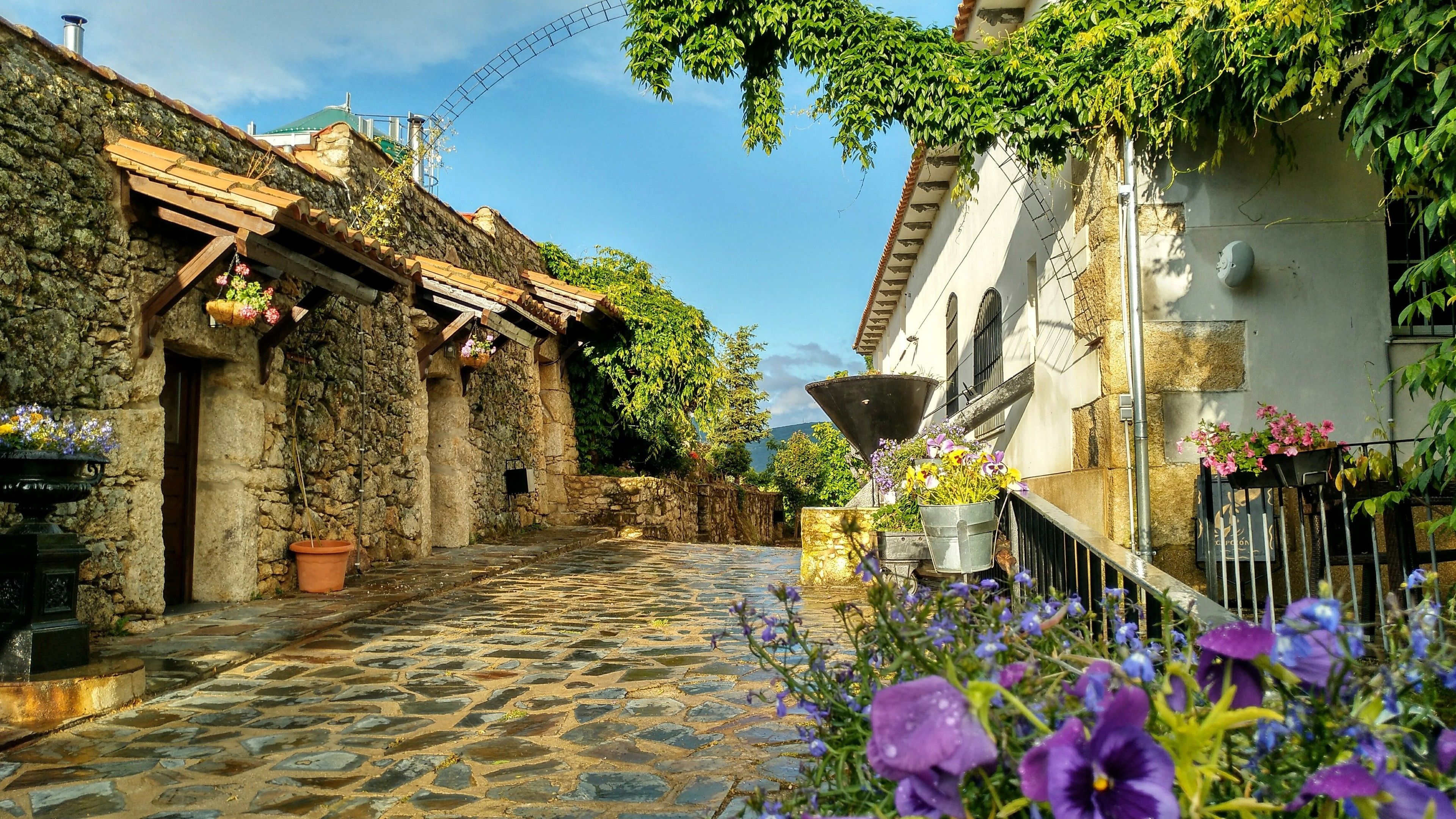 Áreas de la propiedad