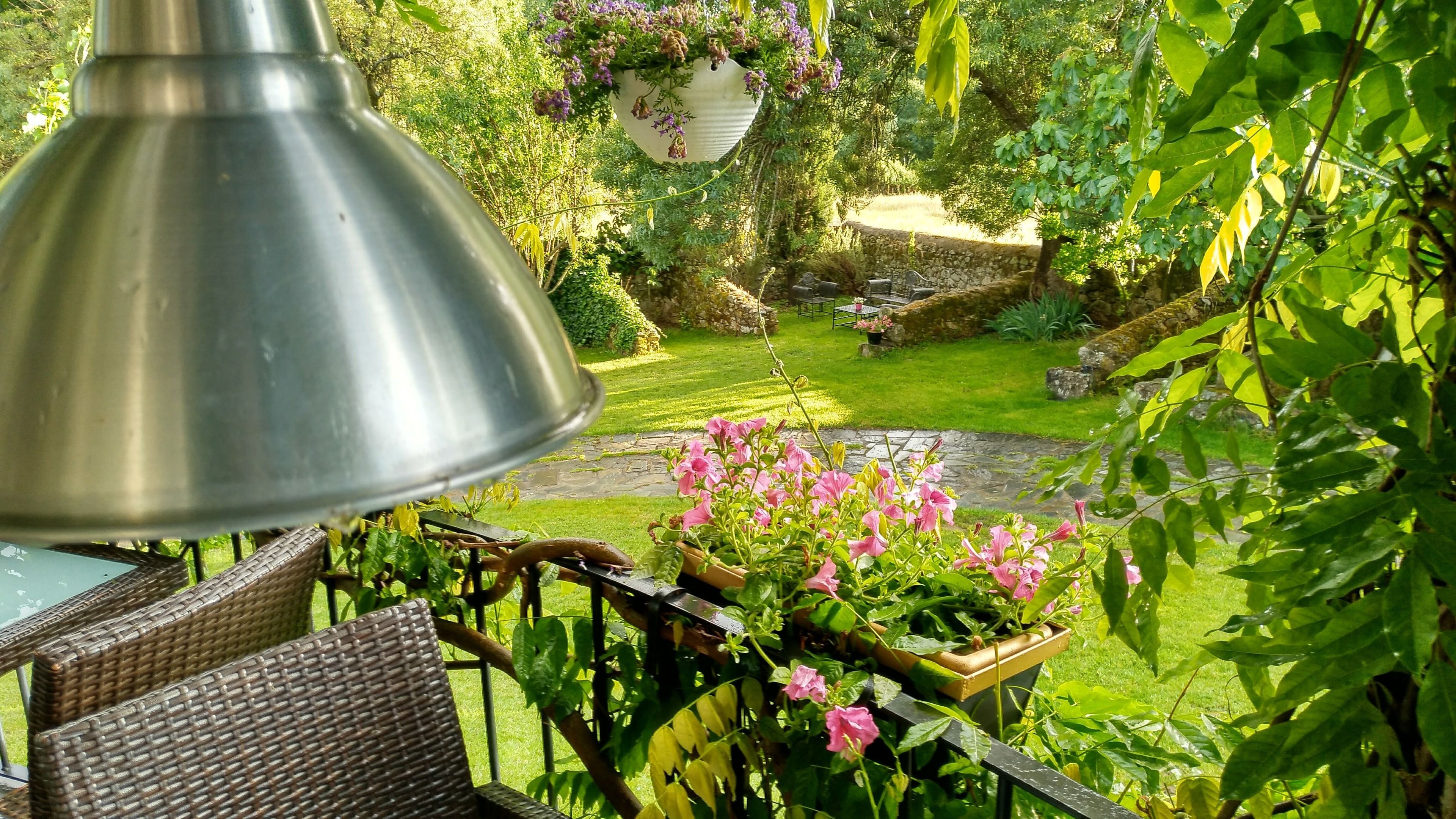 Vista desde la propiedad