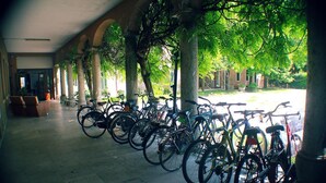 Un espacio al aire libre cubierto con una fila de bicicletas estacionadas bajo un dosel de árboles.