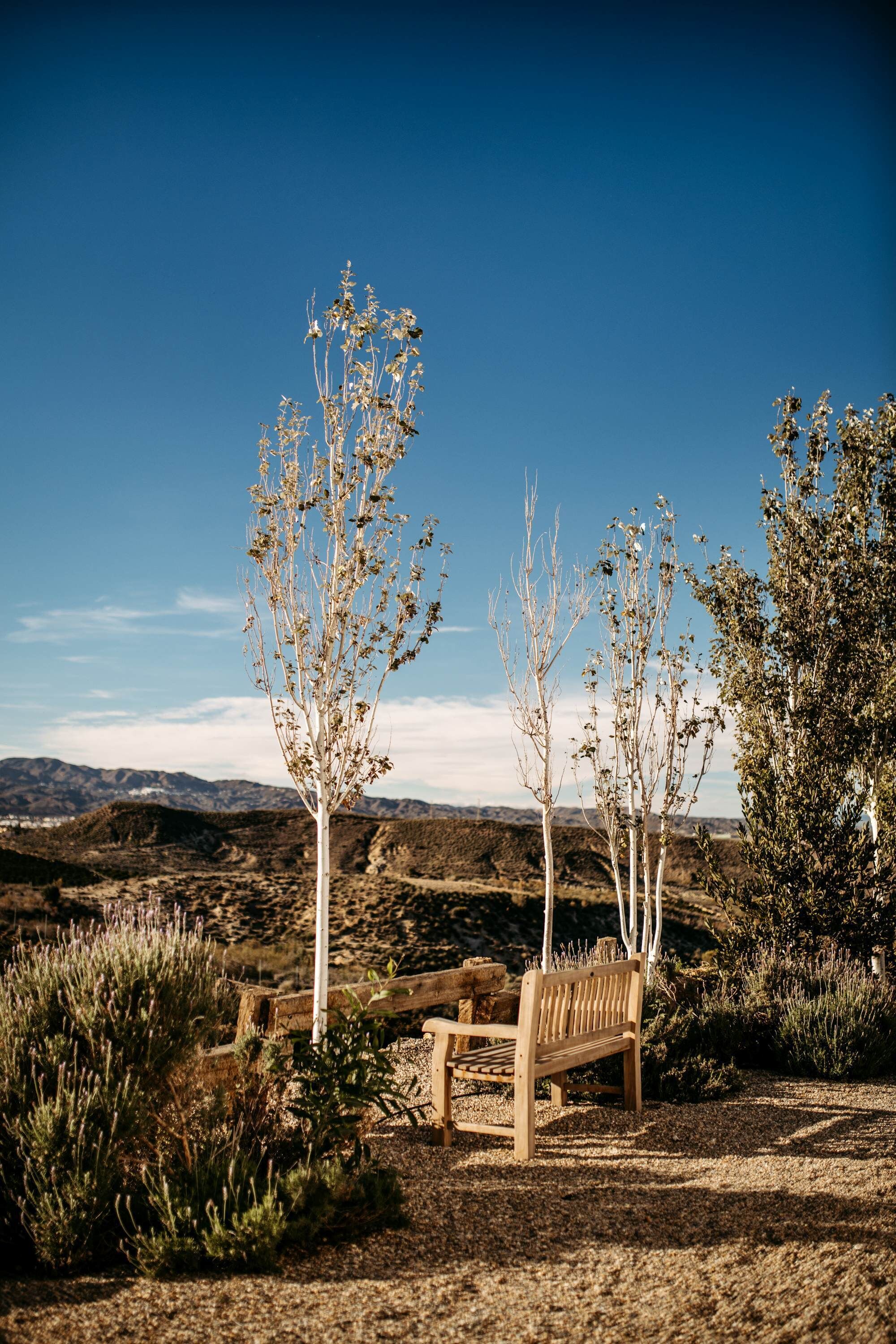 A bench in a natural setting with sparse vegetation and a clear sky.