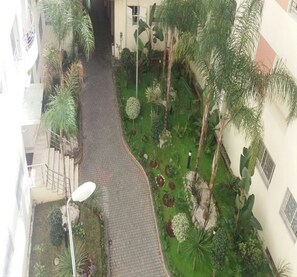 A courtyard with a paved walkway, surrounded by various plants and trees.