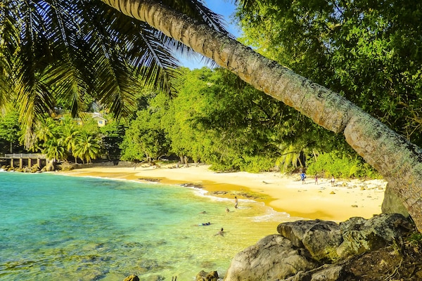 Accommodatie ligt op het strand, strandlakens