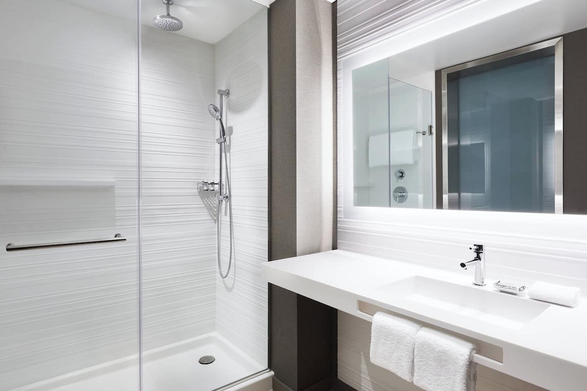 shower, rainfall showerhead, free toiletries, hair dryer