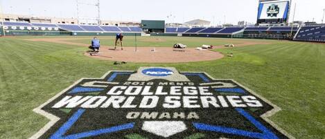 En baseballplan med logotypen för NCAA:s herrcollege-mästerskap i baseboll 2015.