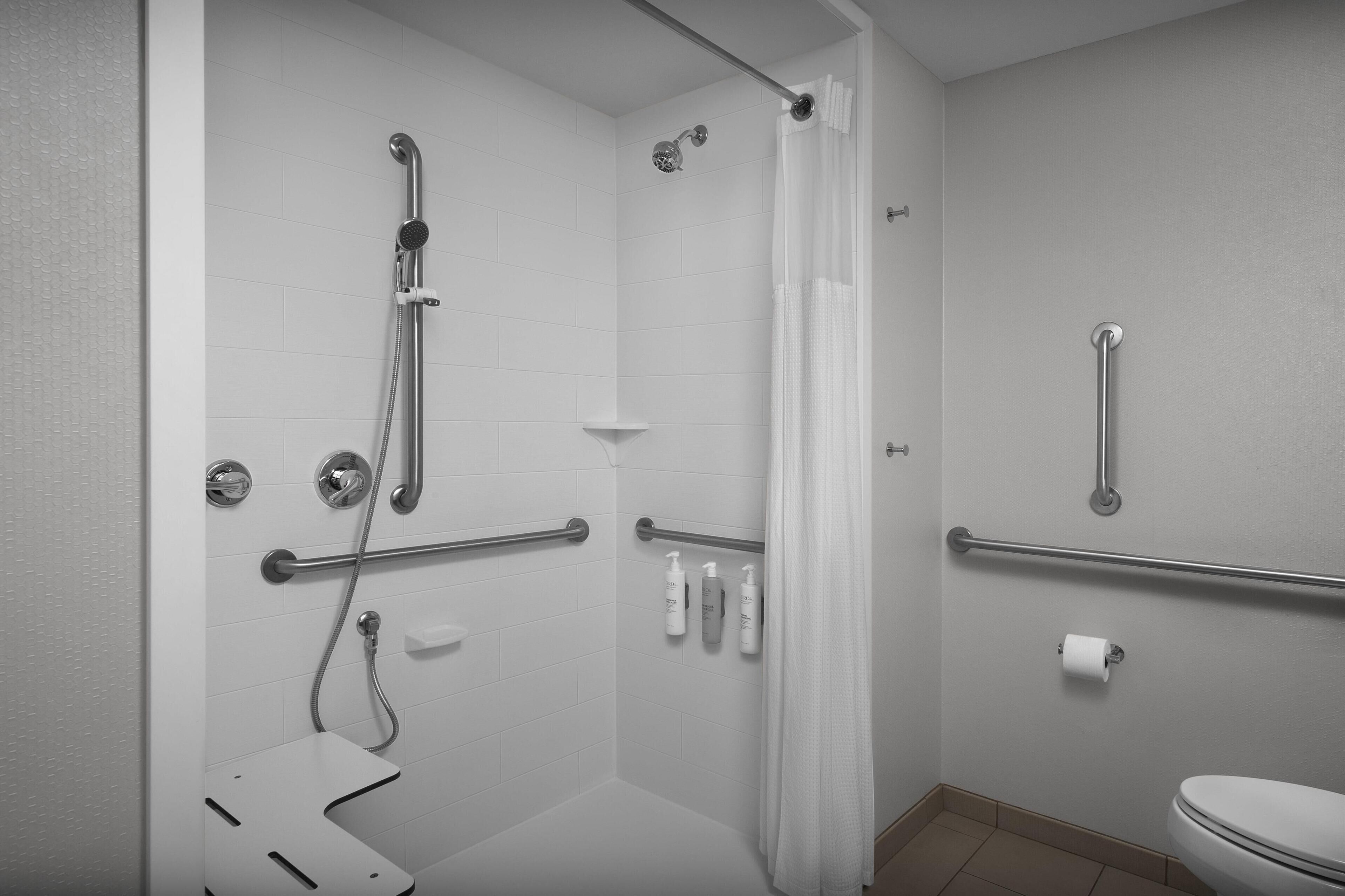 premium room, 1 king bed, accessible (roll-in shower) | bathroom shower