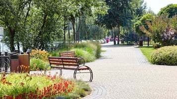 Un camino pavimentado bordeado de bancos y parterres de flores, rodeado de árboles y follaje.