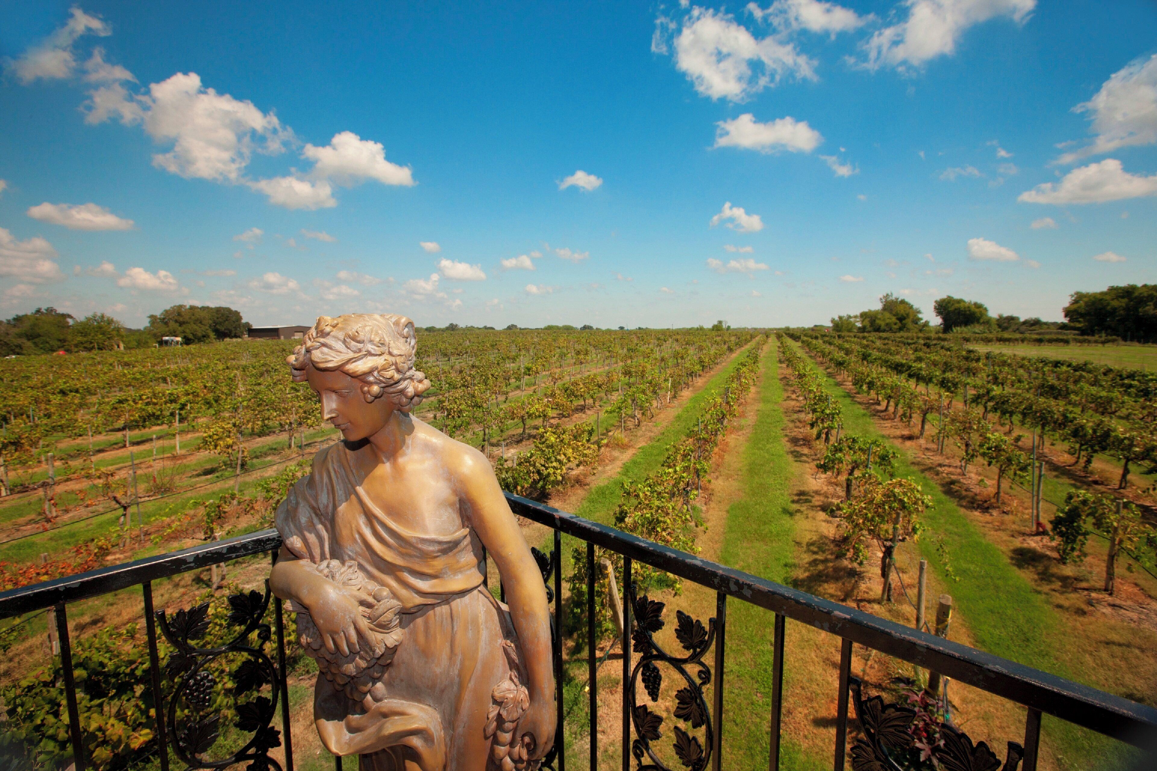 A statue on a balcony overlooking a vineyard.