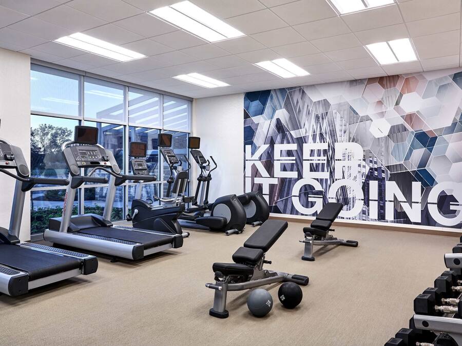 A gym with treadmills, elliptical machines, a bench, and dumbbells.