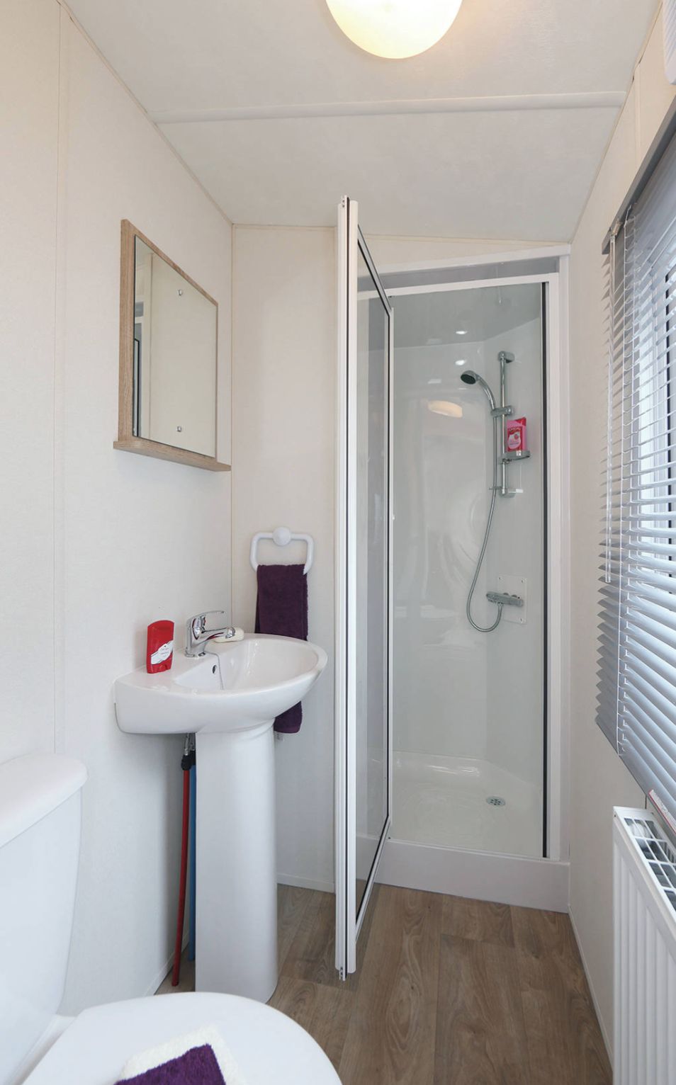 A compact bathroom with a glass shower enclosure, a white sink, and a mirror.