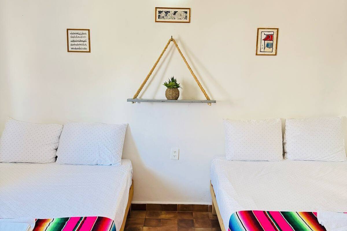 A room with two beds, a small shelf with a plant, and two framed pictures on the wall.