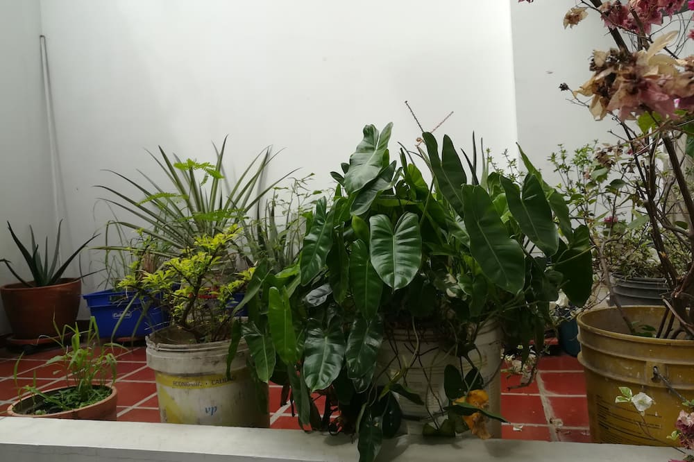 La Casita Morada