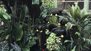 A lush garden with a variety of plants, a small waterfall, and a traditional-style gazebo. - Kacu guest house (Ubud)