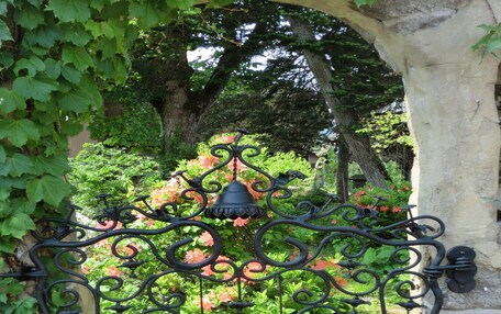A wrought iron gate with a central bell and decorative elements, set within an archway surrounded by lush greenery and flowering plants.