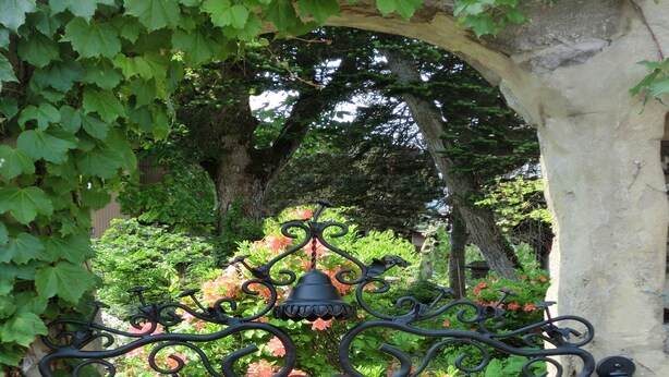 Una reja de hierro forjado con una campana central y detalles decorativos, ubicada en un arco rodeado de vegetación exuberante y plantas en flor.