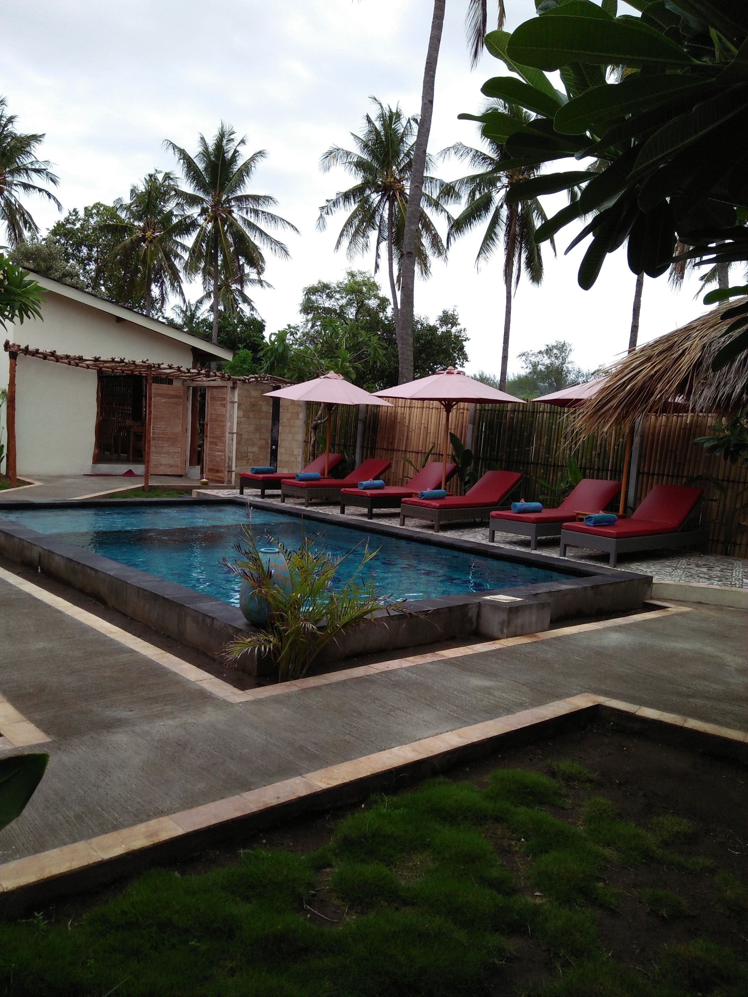 A swimming pool with red lounge chairs and umbrellas, surrounded by palm trees and a bamboo fence.