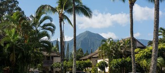 Princeville Sands Studio with Pool and Hot Tub (137-B)