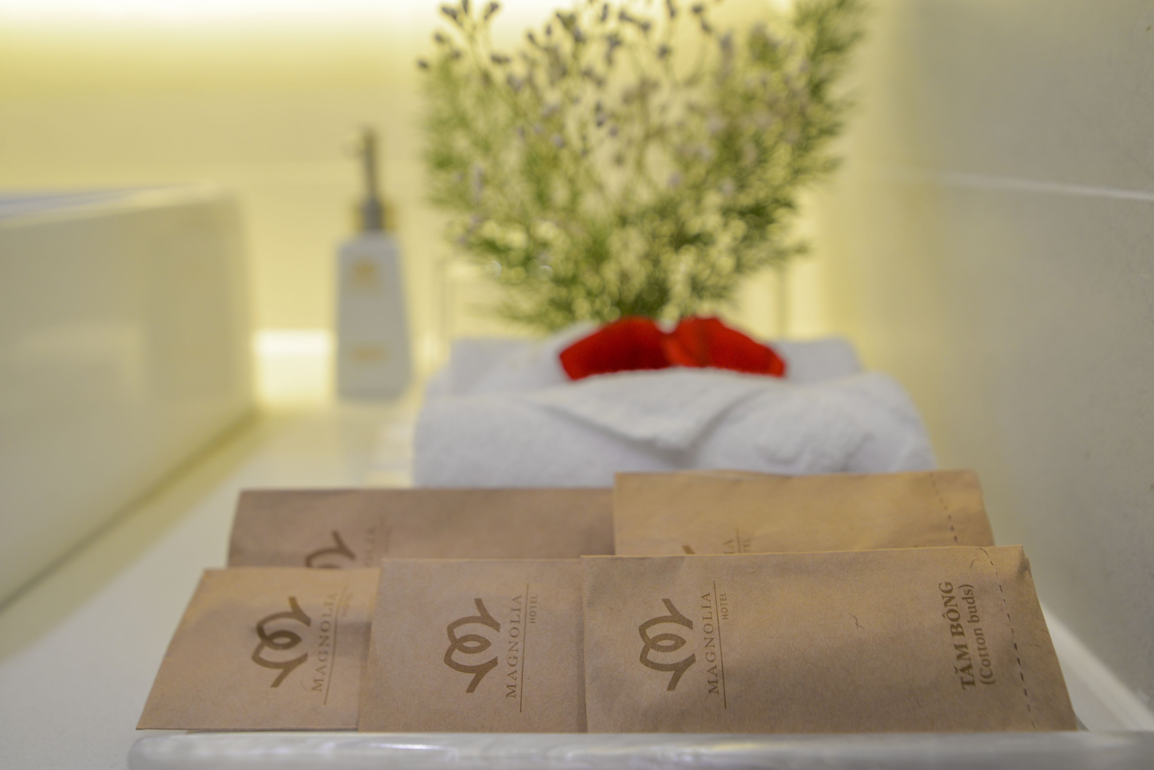 shower, free toiletries, hair dryer, slippers