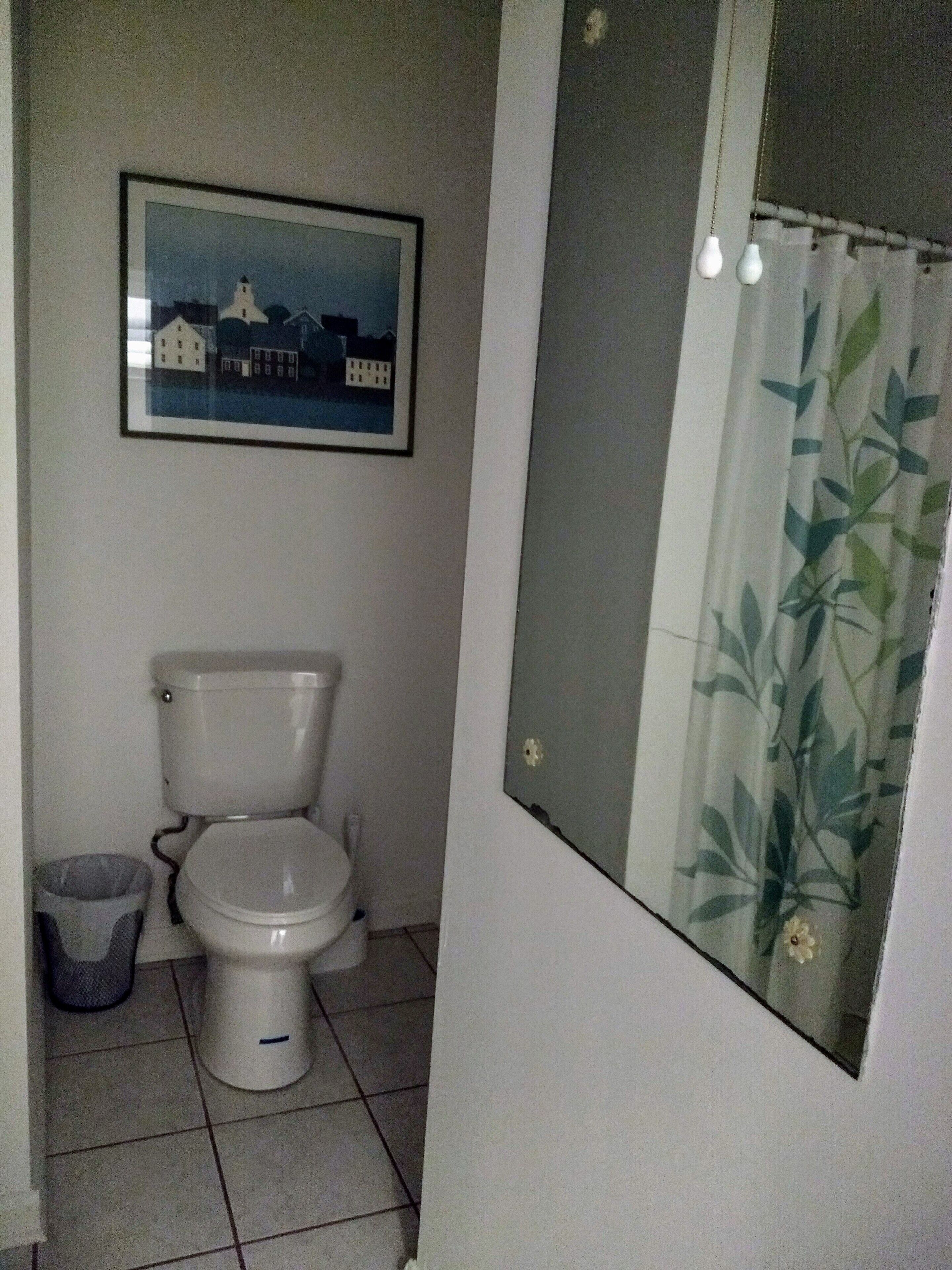 Een badkamer met een toilet, een prullenbak en een fotokader aan de muur.
