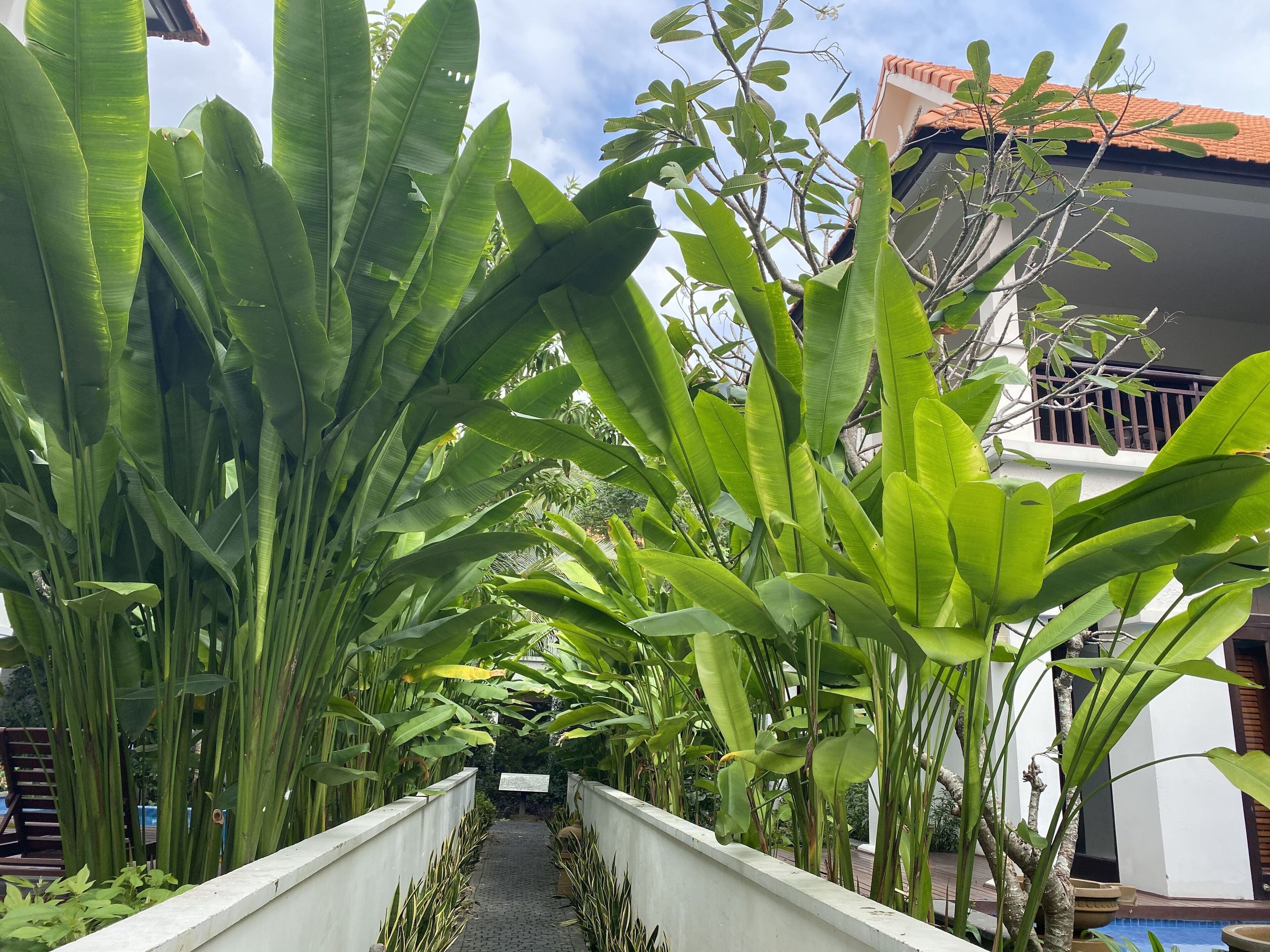 Villa, 4 Bedrooms, Private Pool, Garden View | Garden view