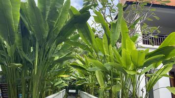 Villa, 4 Bedrooms, Private Pool, Garden View | Garden view