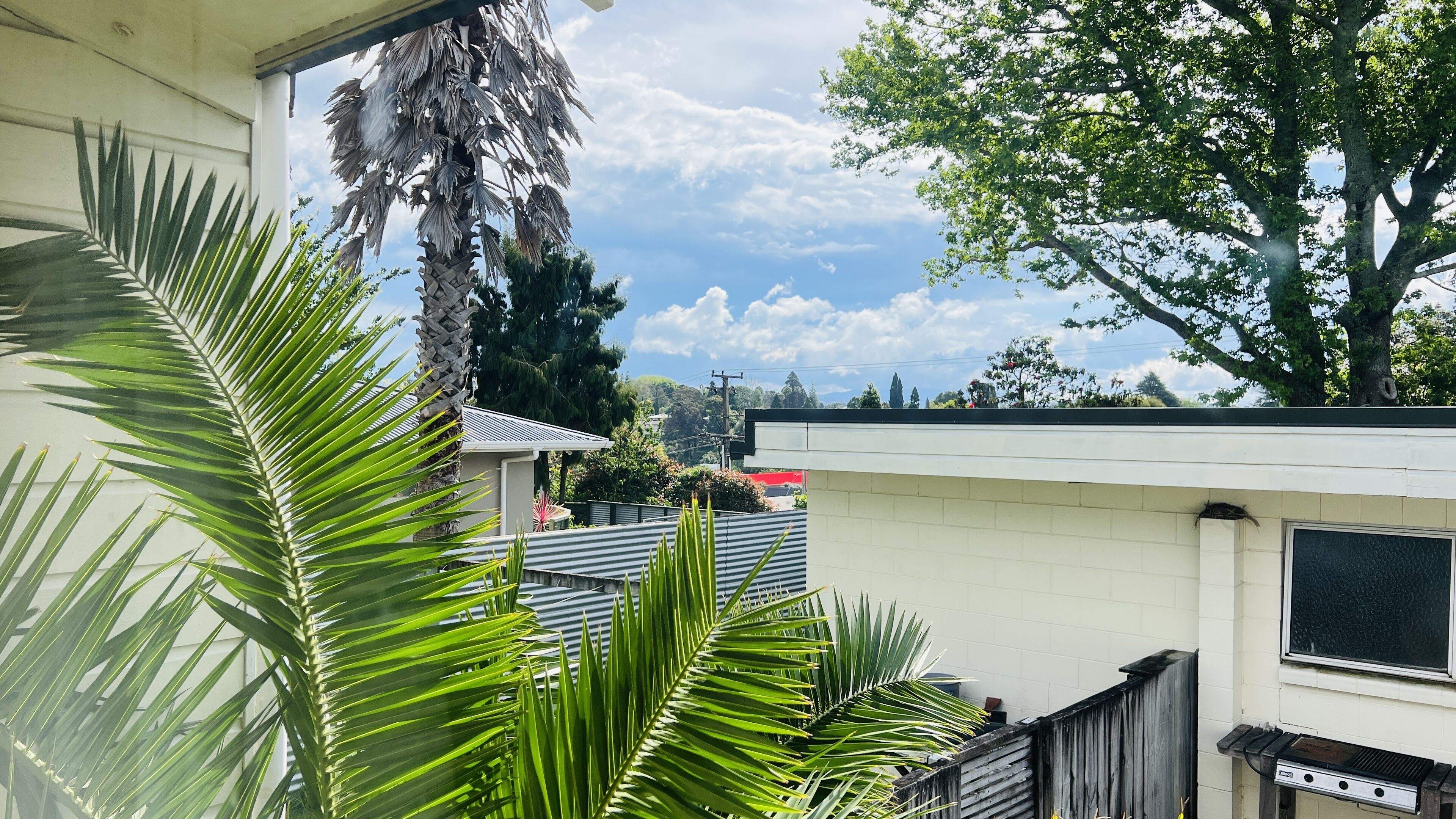 A residential area with a white building, a wooden fence, and a large tree.