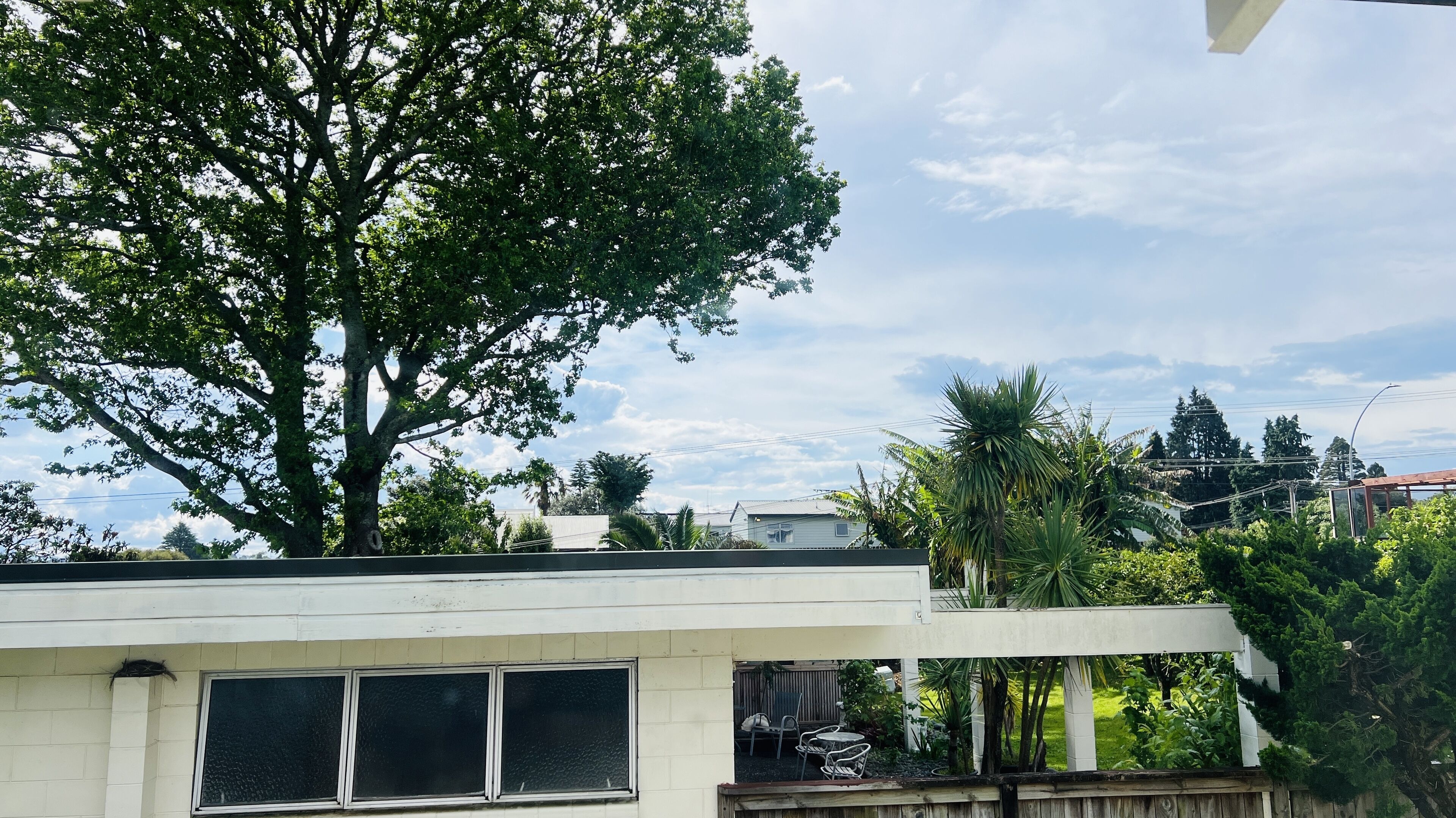 A residential building with a large tree in the foreground, a fenced patio area with chairs, and a view of neighboring houses and trees.