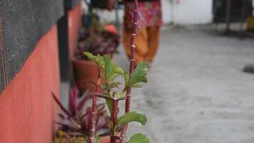 ุงูุฅุทูุงูุฉ ู
ู ุงูู
ูุดุฃุฉ