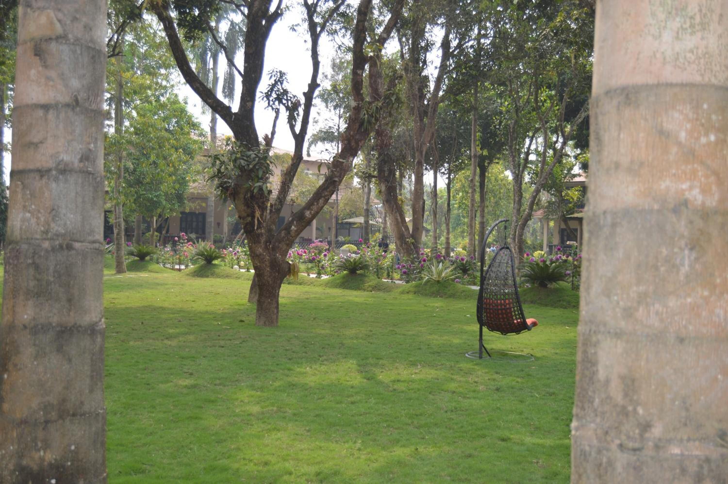 A garden with a hammock, trees, and a stone structure.