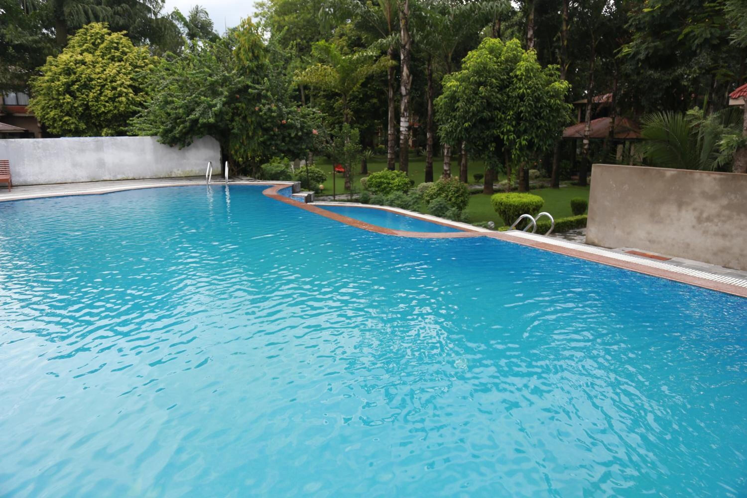 Una piscina limpia rodeada de abundante vegetación y un muro de concreto.