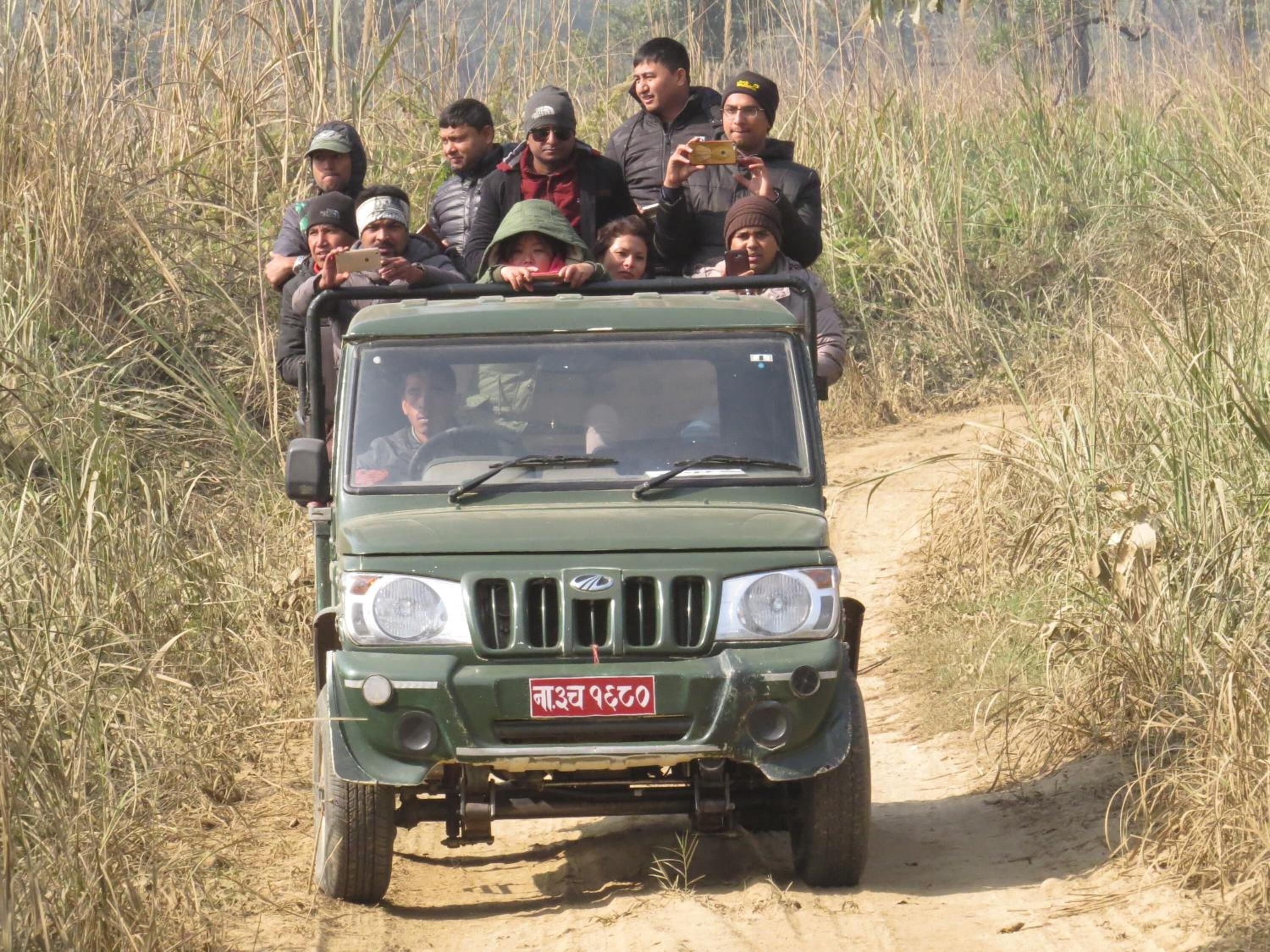 A green jeep with passengers, navigating a dirt path surrounded by tall grass.