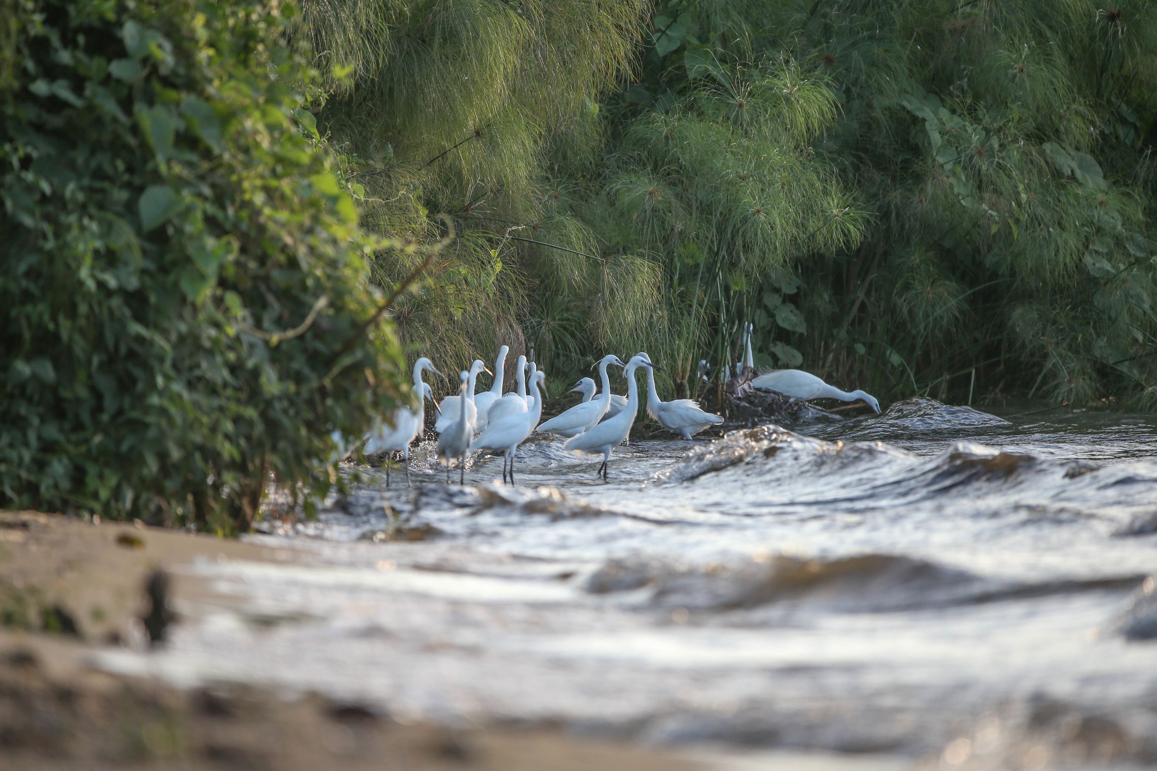 on the beach, white sand, beach towels, beach massages