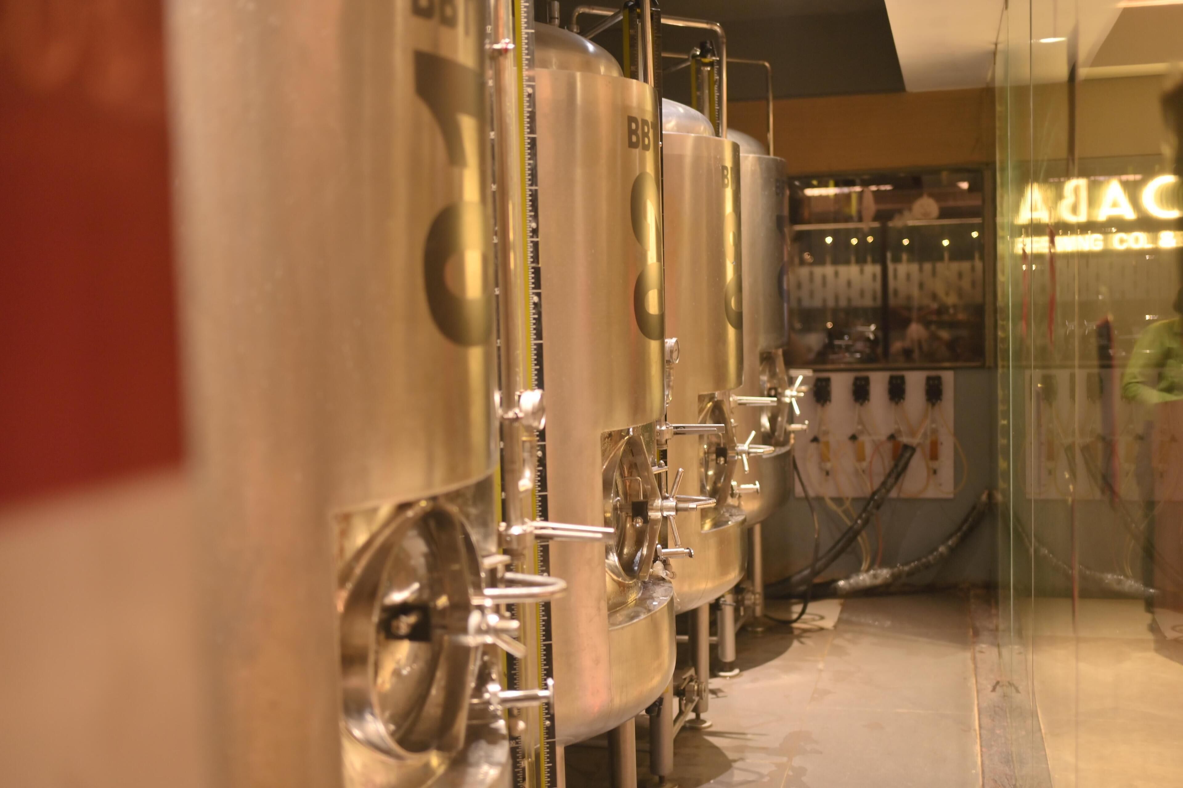 Cuves de brassage en acier inoxydable, dans un environnement industriel propre et bien aménagé.