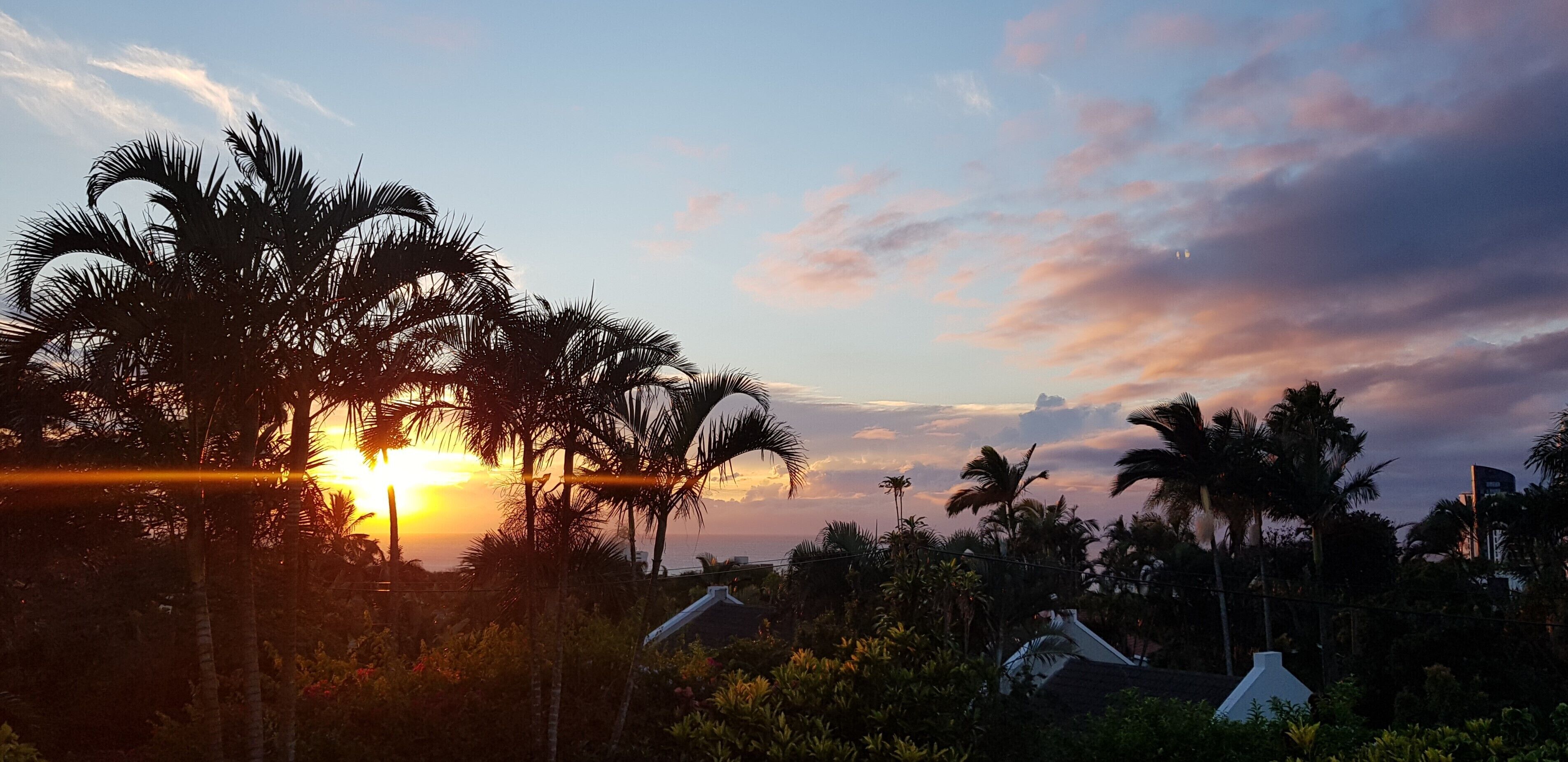 A sunset view with palm trees and a distant building.
