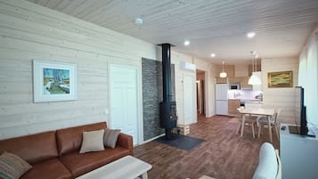 Smart TV, fireplace, DVD player, books