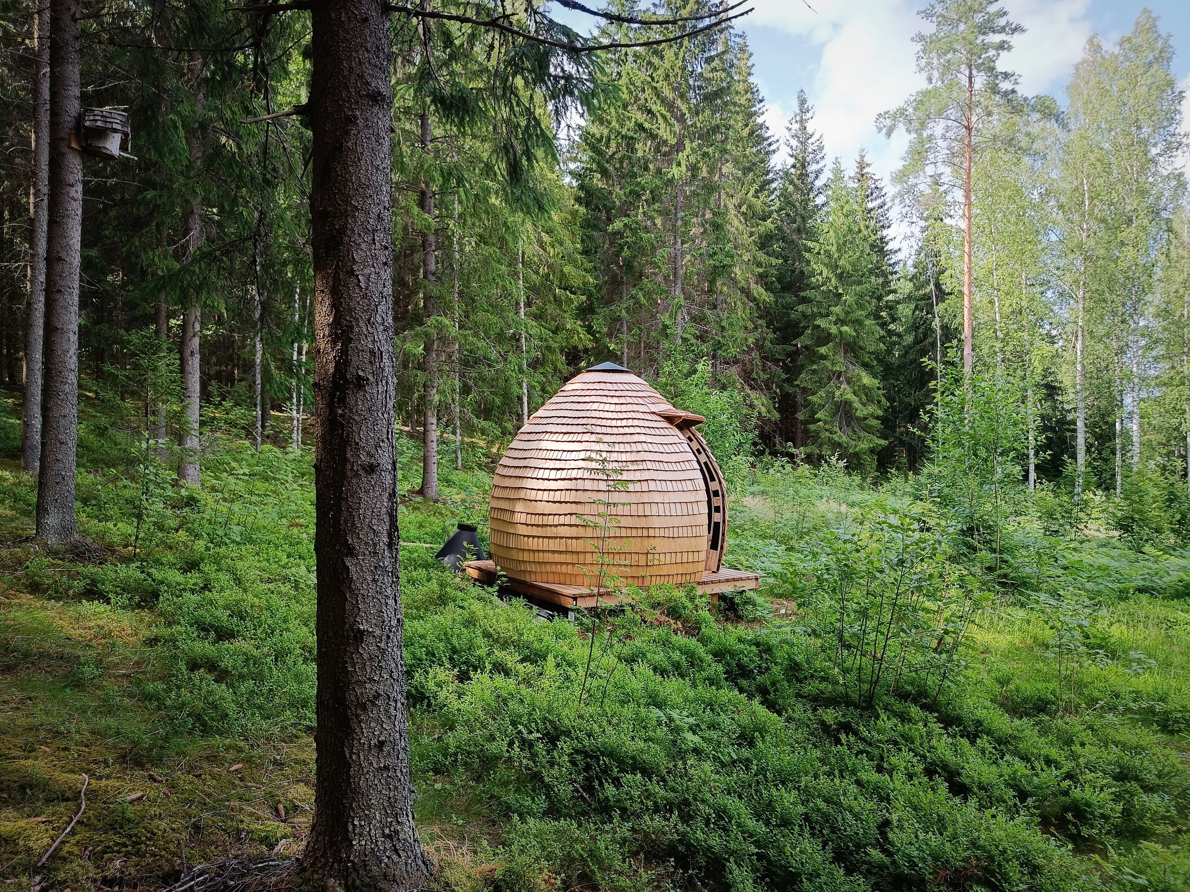 Une structure en forme de dôme, faite de bois, située dans une forêt.