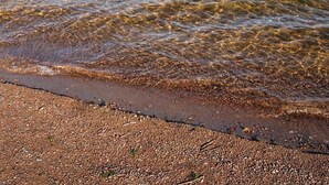 Une jetée en bois s’étendant dans un lac paisible aux eaux claires, bordée d’une rive boisée.